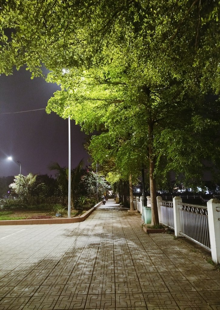 by_thu93's tweet image. #Day4 Tèn ten đạt mục tiêu đầu tiên với 6k bước 🏃‍♀️
Hnay tối thứ 6 nên công viên nhộn nhịp hơn chút, đâu đó 5 cặp đôi ngồi rải rác ở các gốc cây. Xin lũi couple ở bậc thang xuống hồ nha, suýt làm các bạn té rồi 😂