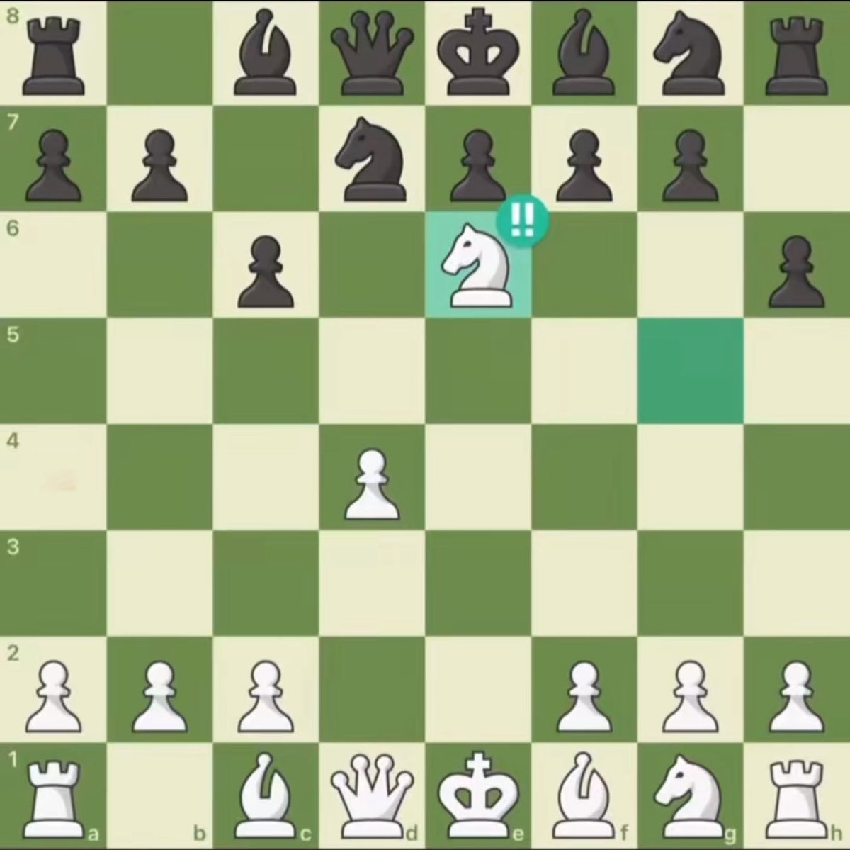 Chess Master tweet media