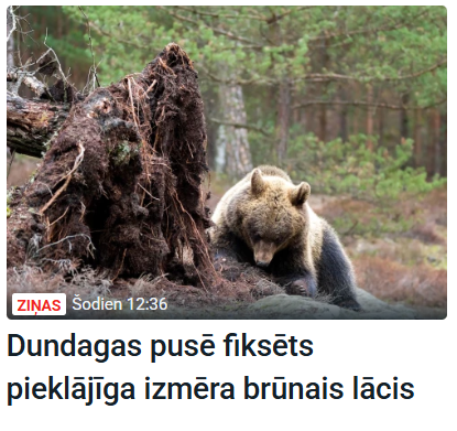 Edīte Brikmane 🇺🇦🇱🇻🇹🇼 tweet media