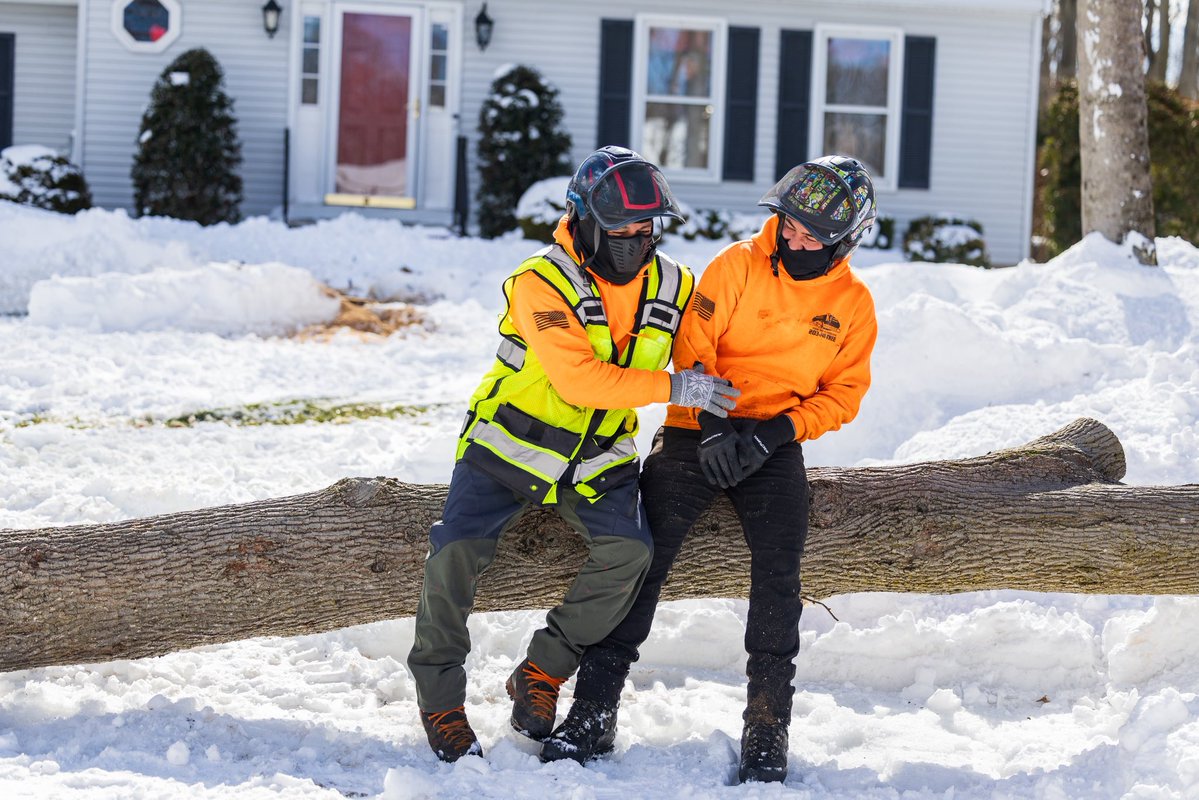 K&J Tree Service tweet media