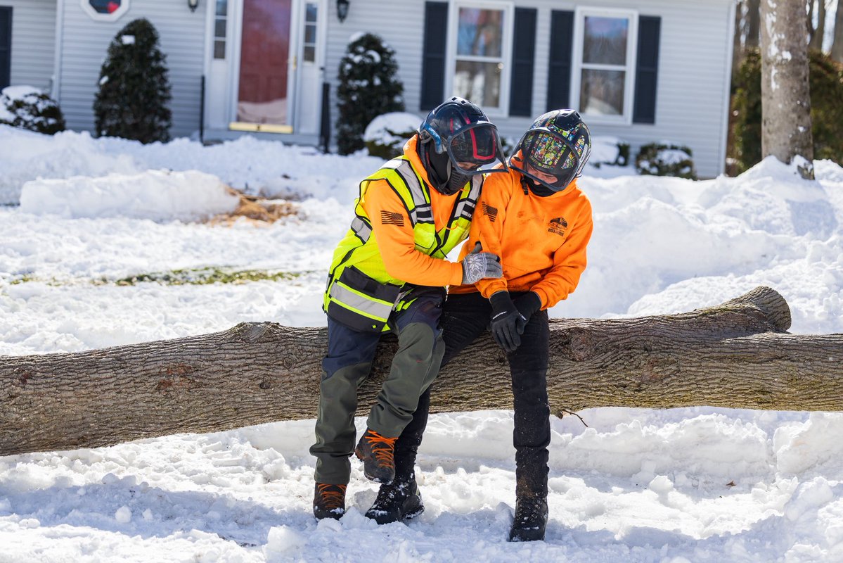 K&J Tree Service tweet media