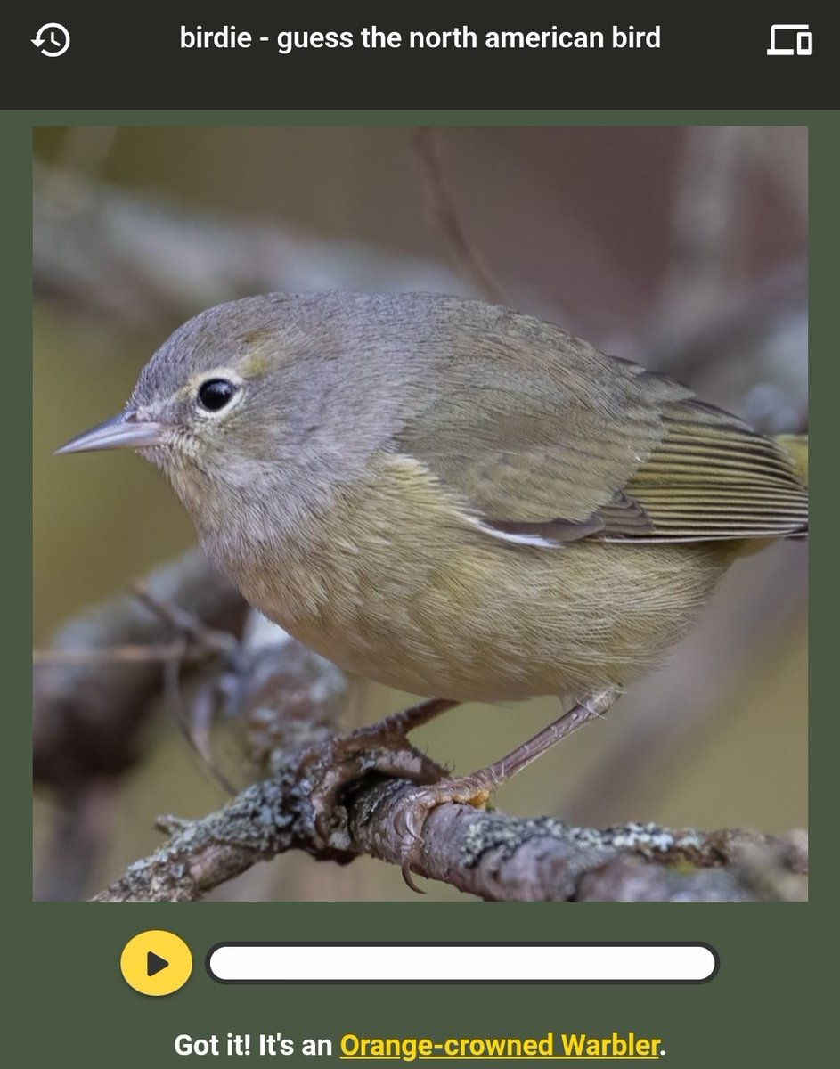 Swamp_Ape_Science tweet media