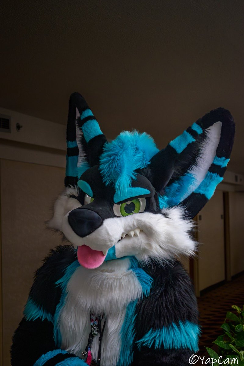 Sonnik 🔜 FWA tweet media