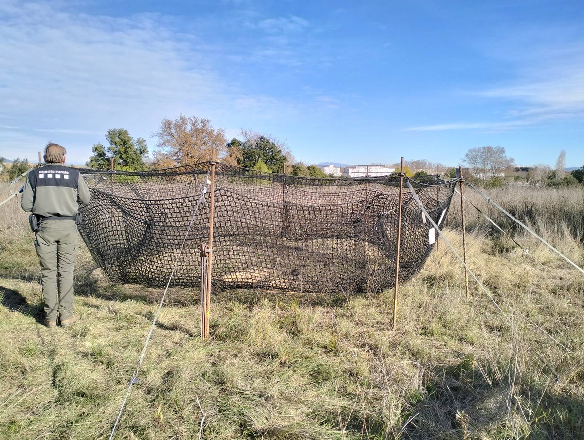 Intersindical Generalitat i Ens Adscrits🎗️ tweet media