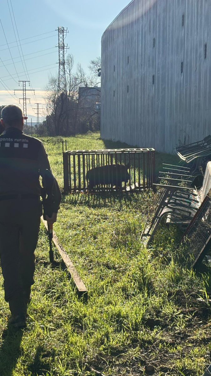 Intersindical Generalitat i Ens Adscrits🎗️ tweet media