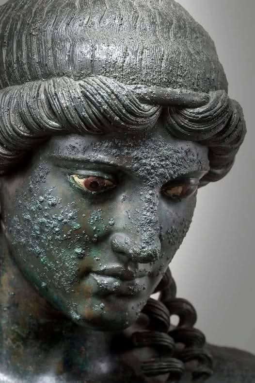 LeoDaVinciWave tweet media