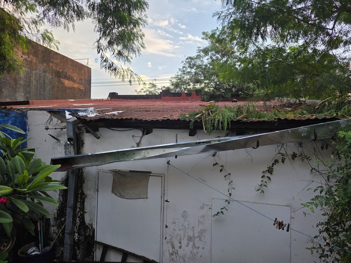 osvalgonzalez's tweet photo. @ANDEOficial @AsuncionMuni Buenas informo que han limpiado la parte frontal, pero los árboles que están dentro del terreno baldío no se han podado y han dañado la estructura de mi casa por la caída de ramas. Permanece el arbol con las ramas que podrian caerse en próximas tormentas. Favor verificar urgente https://t.co/9XkBiiMWVN