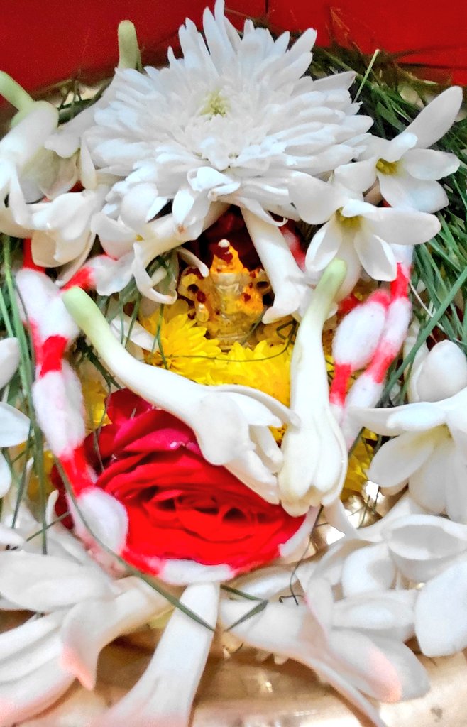 ಧರಣಿ ರೆಡ್ಡಿ tweet media