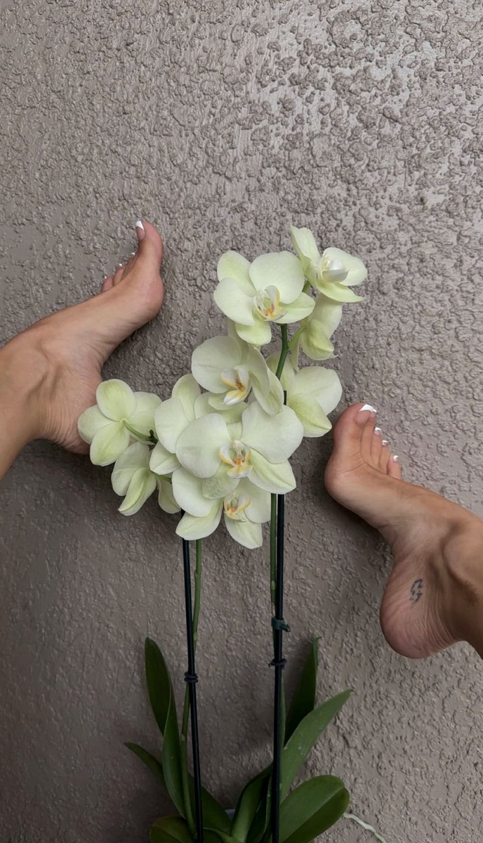 Bella ♡ tweet media