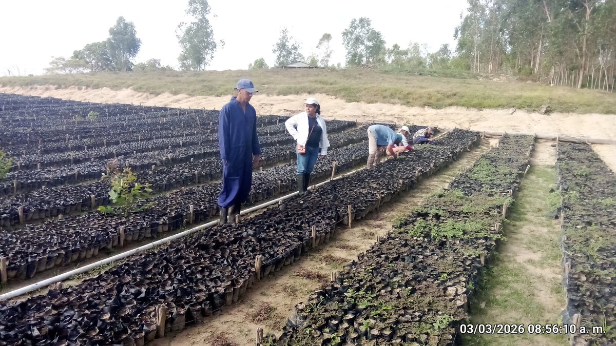 Anelys Ramírez González tweet media