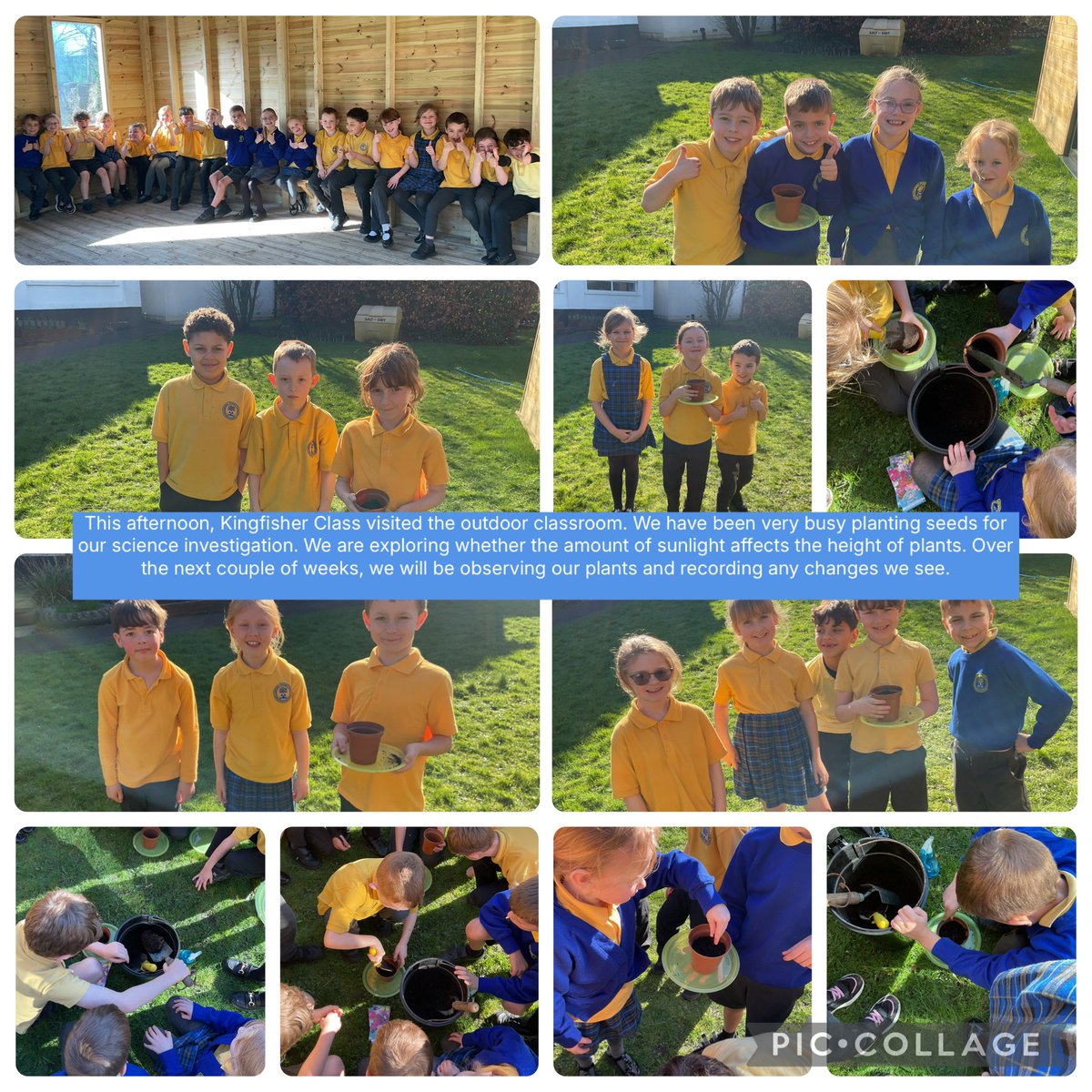 Adlington Primary tweet media