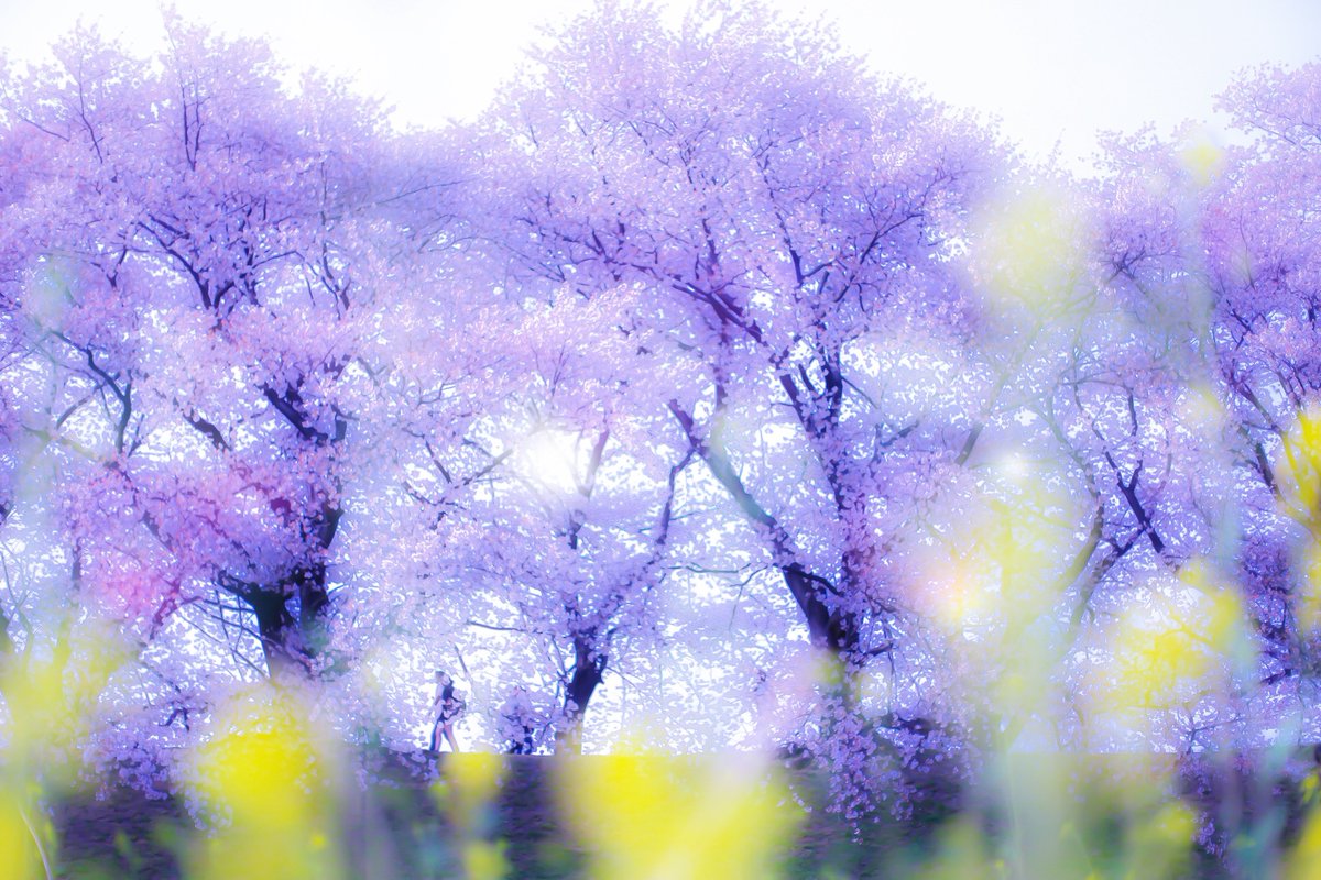 k13_cloud's tweet photo. 早く来て？ https://t.co/oTykEFKy7u