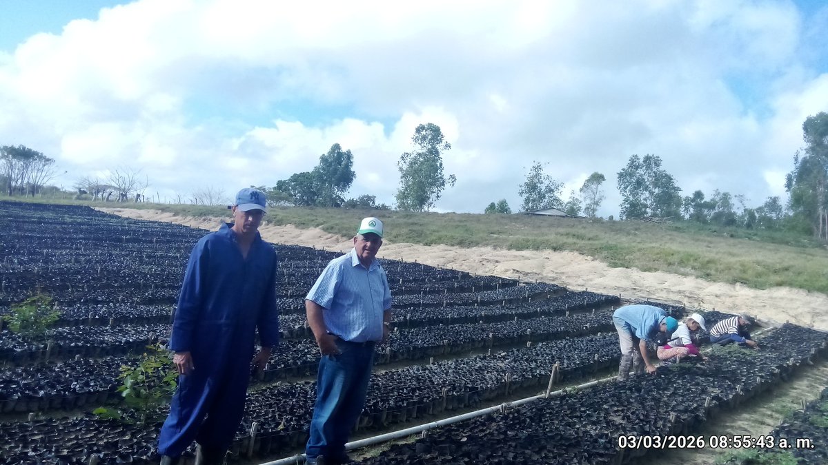 Anelys Ramírez González tweet media