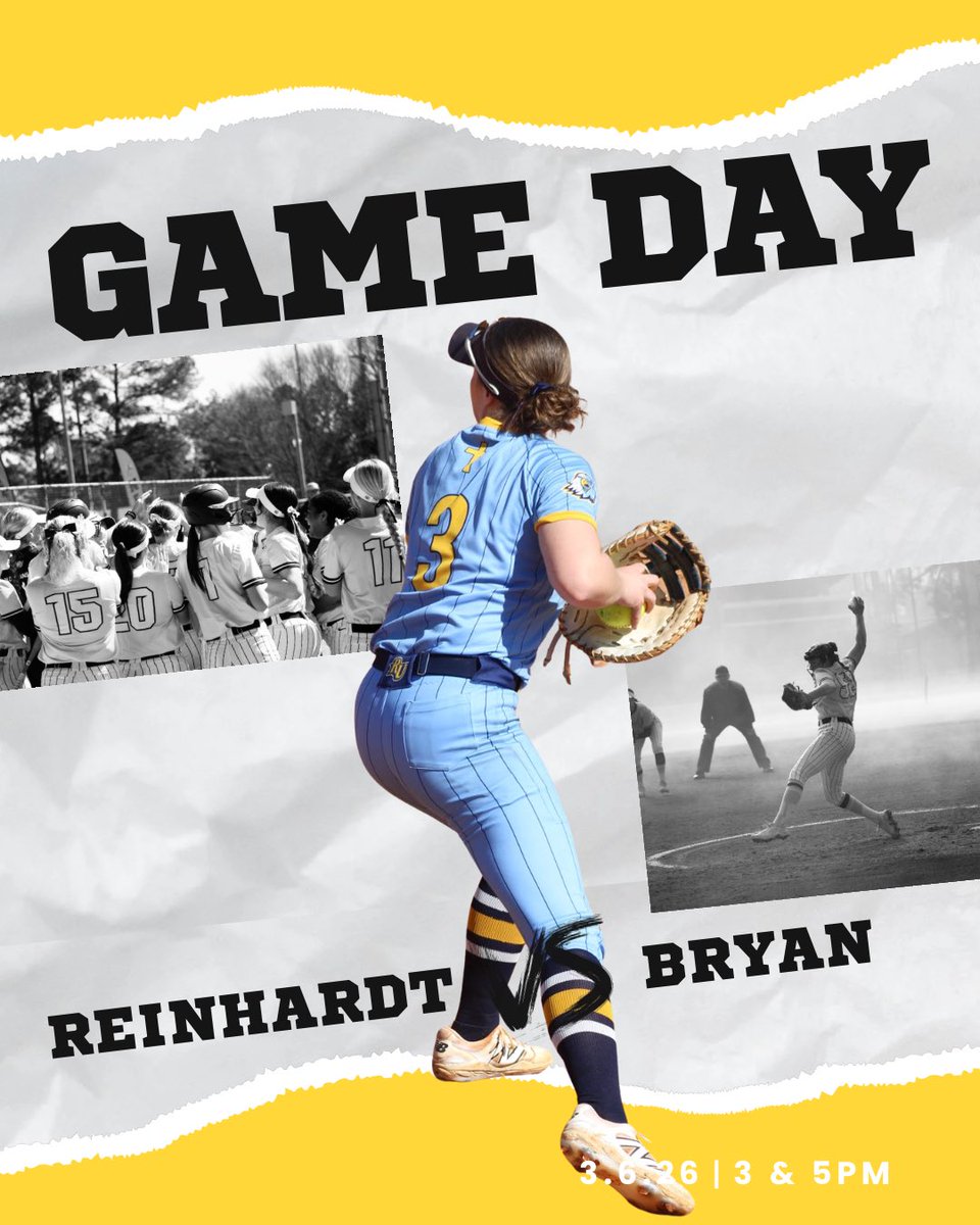 Reinhardt Softball tweet media