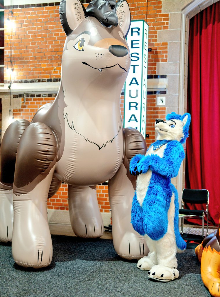 Crazy Wolf 🐾 tweet media