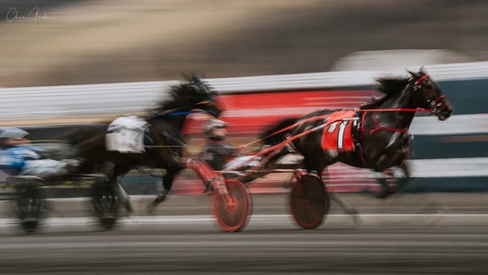 MeadowsRacing tweet media