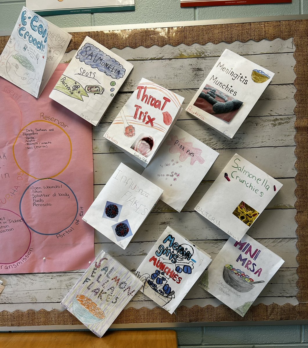 sweat_nancy's tweet photo. When classrooms are loaded w resources for learning, displays of student work, &amp; positive messaging, students know it is THEIR space &amp; it makes a difference. @AADULLC #SAMEpage https://t.co/EBO9YQ8FXL