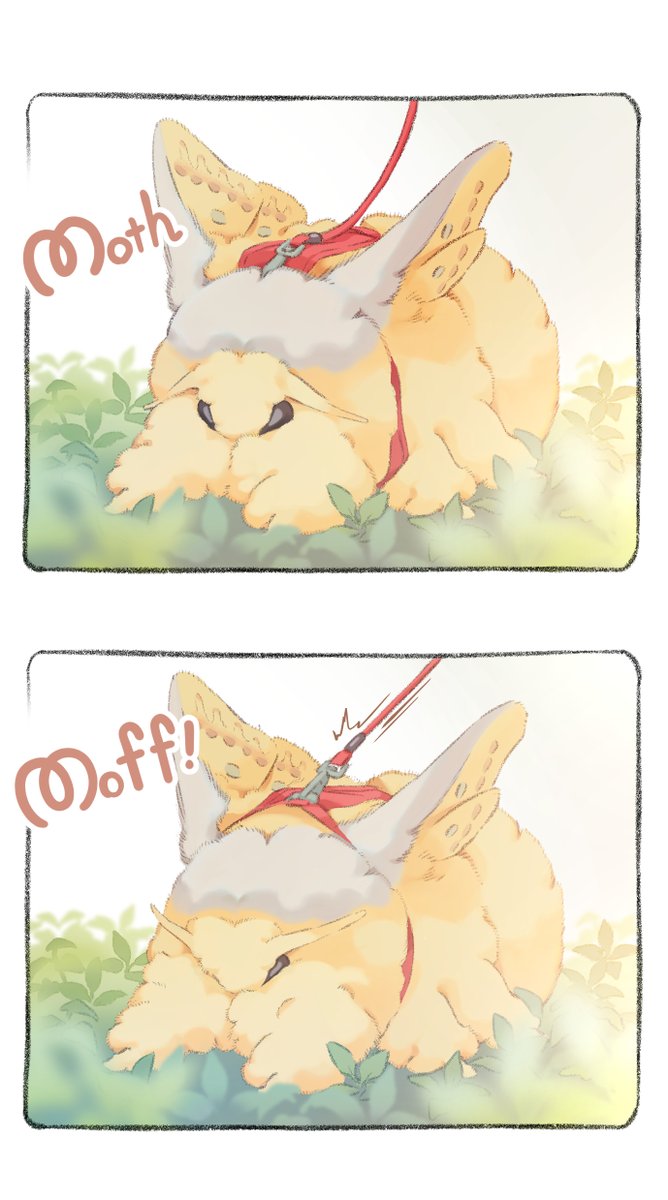 life_with_moth's tweet photo. The big fluffy moth refuses to come back from its walk. https://t.co/GMfQIwUZGp