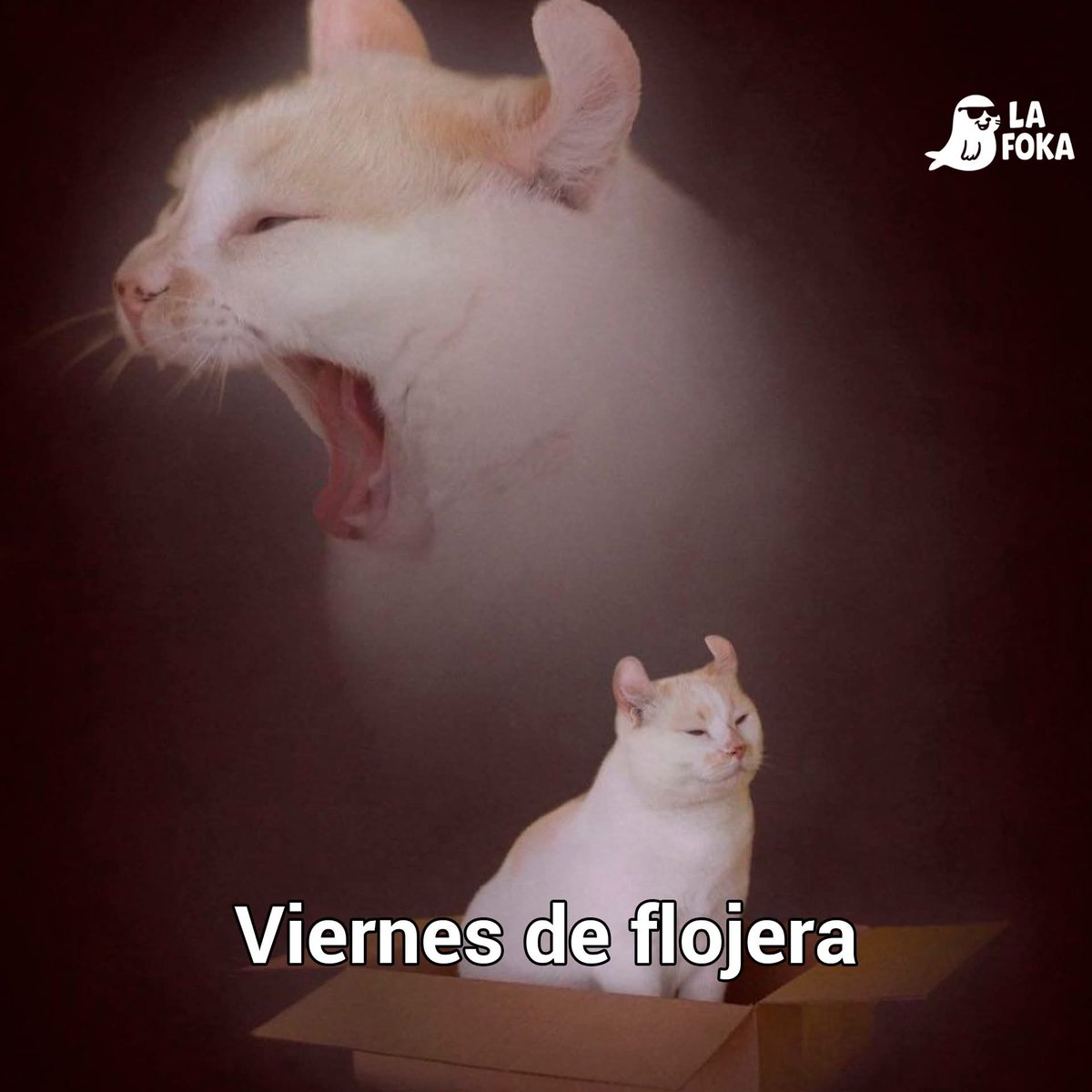 Barbie ❤️❤️❤️ tweet media