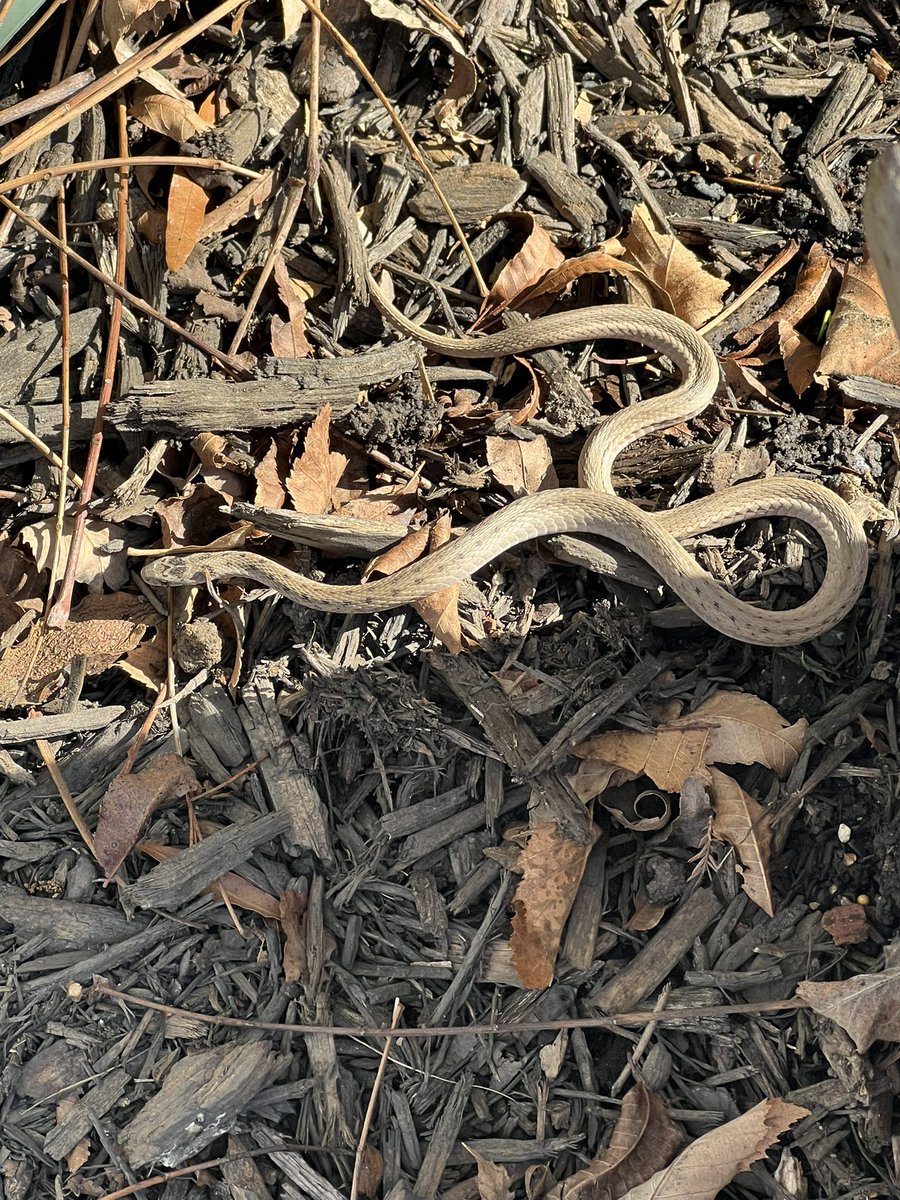 Alan Cavanna tweet media