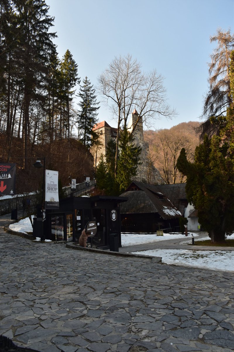 MaZingra tweet media