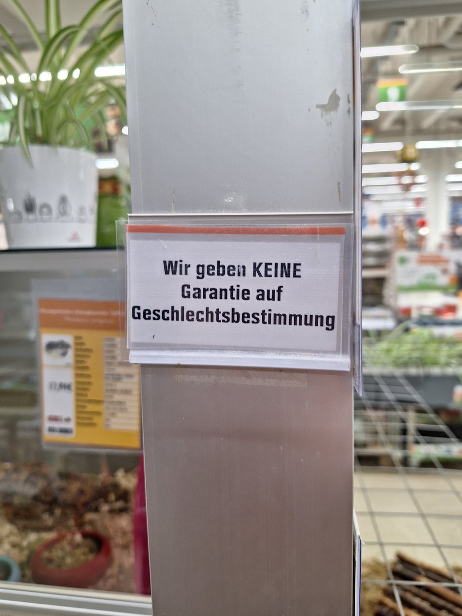 Clancy 🦖🪐☭ tweet media