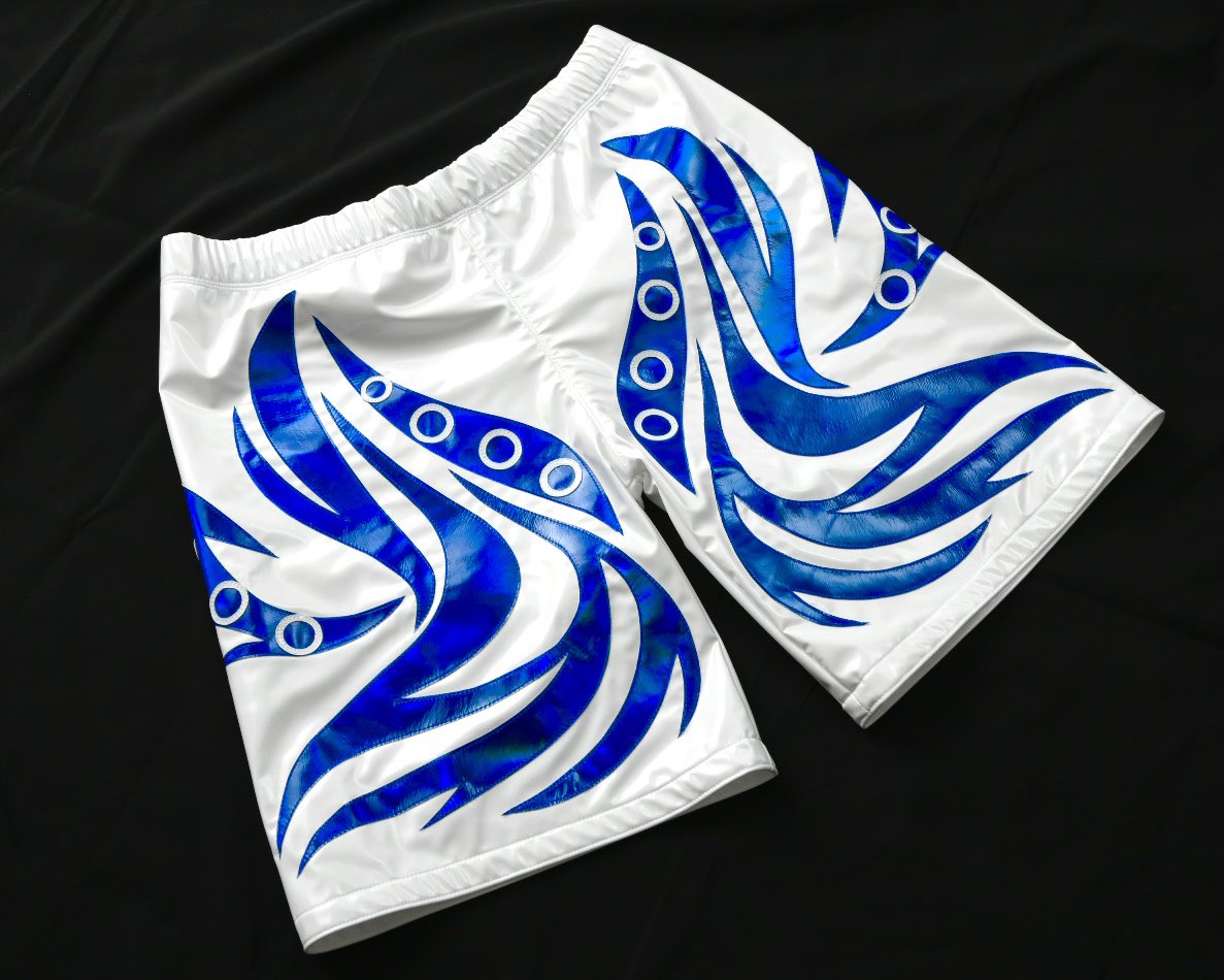 信州プロレス　
イカ好きんちゃん。選手

マスク＆ハーフパンツ制作。

#信州プロレス 
#プロレスマスク