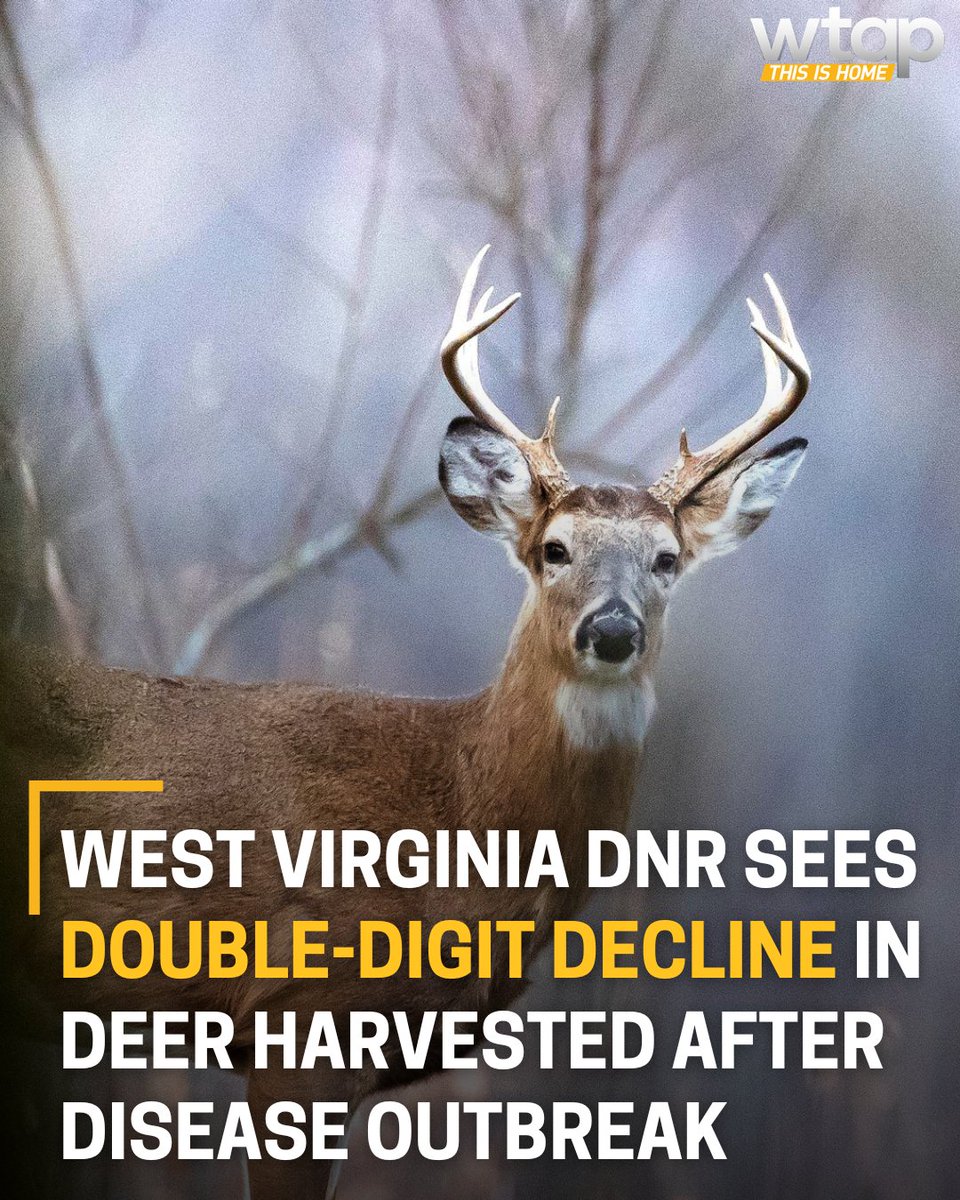 WTAP Television tweet media