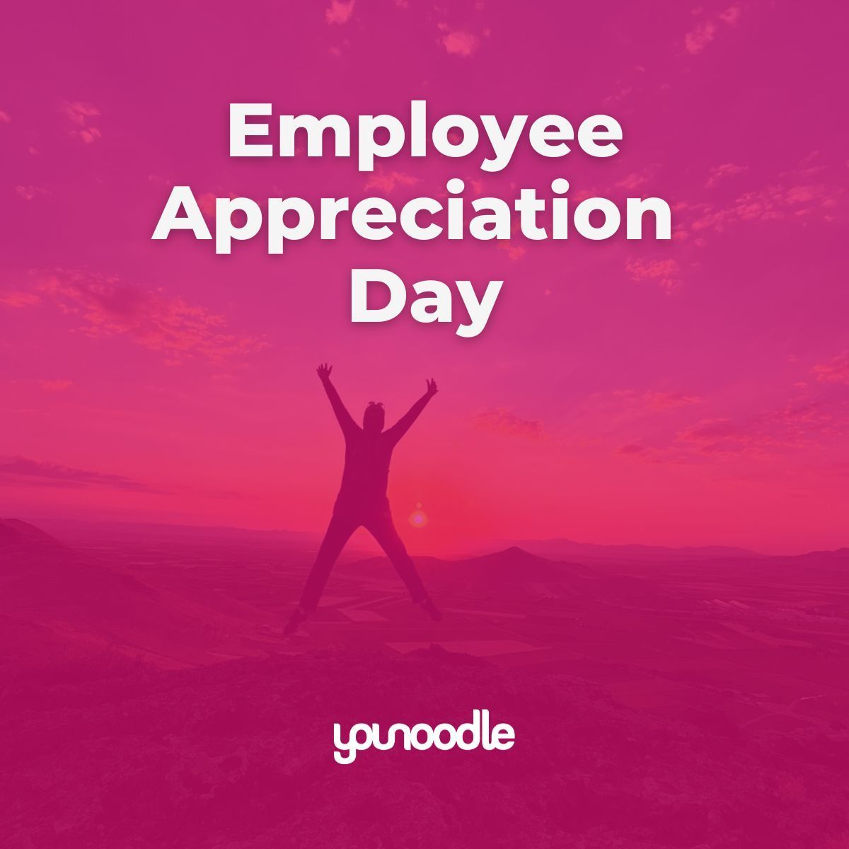 YouNoodle tweet media