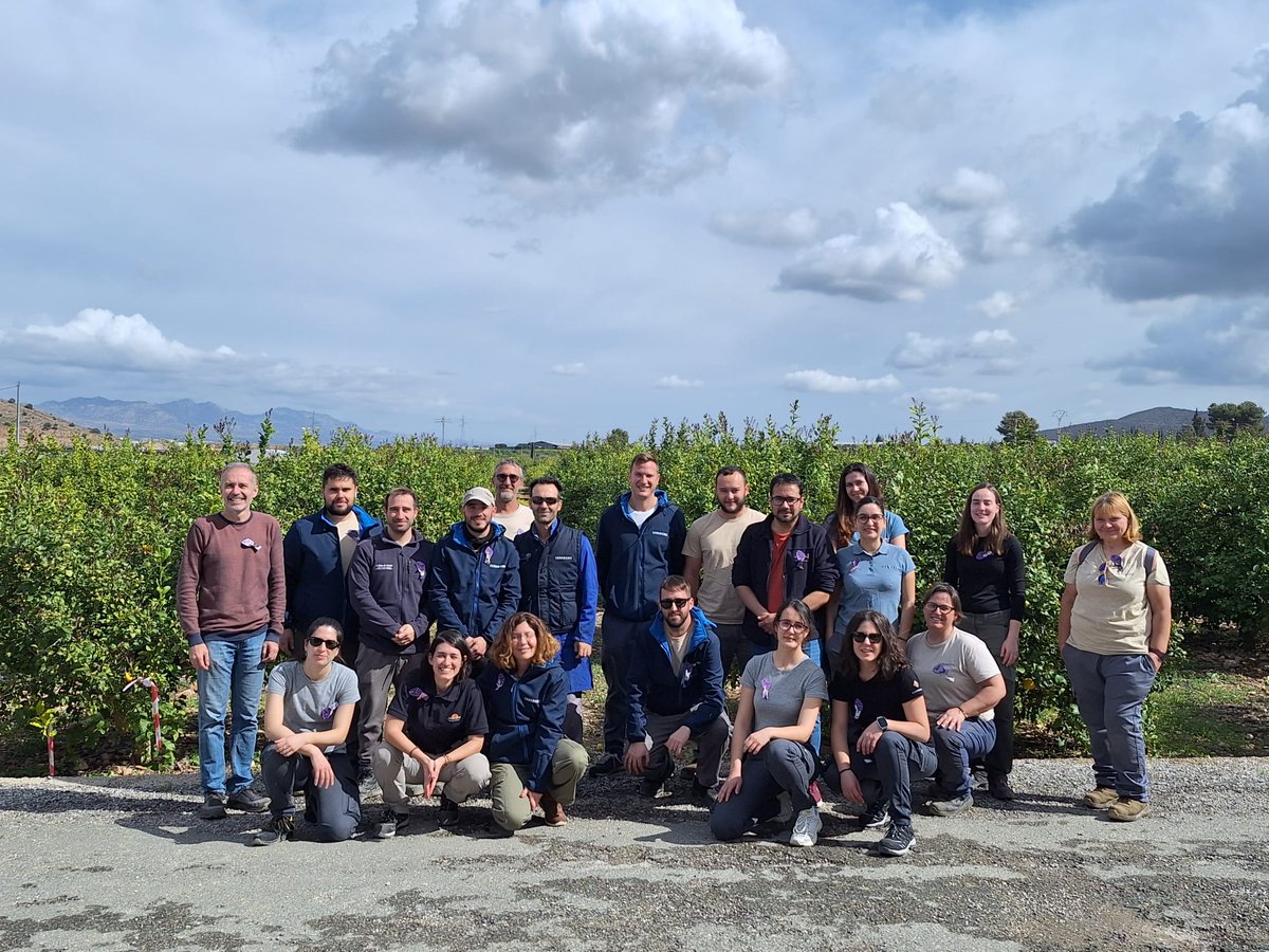 Federación de Servicios a la Ciudadanía CCOO RM tweet media