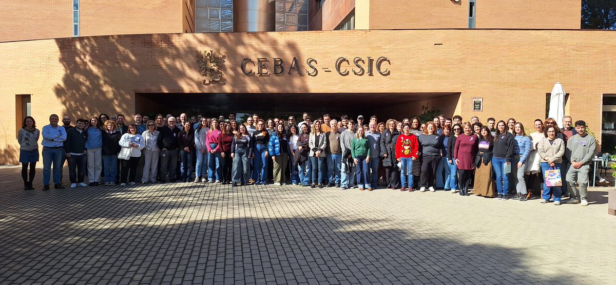 Federación de Servicios a la Ciudadanía CCOO RM tweet media