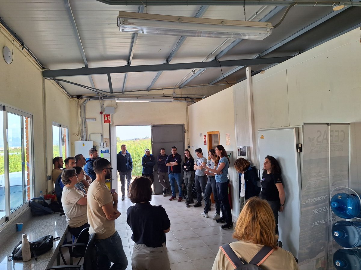 Federación de Servicios a la Ciudadanía CCOO RM tweet media