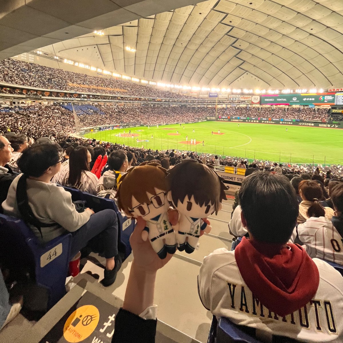 🌸ｍａｔｔｅｏ 🌸マッテオ tweet media