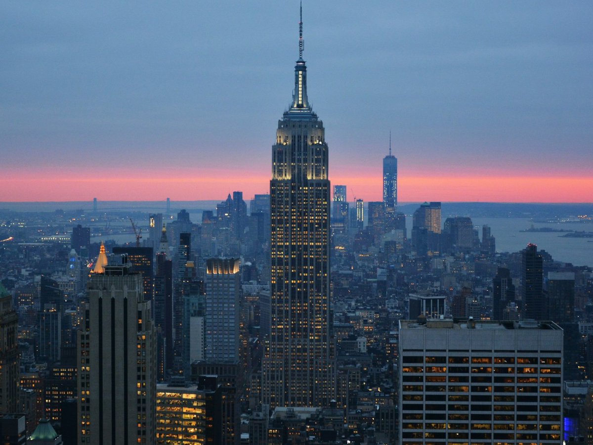 My Vacation Buzz tweet media