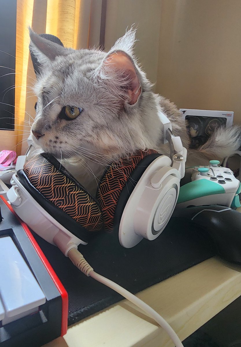 Dill Diony 🍇 tweet media