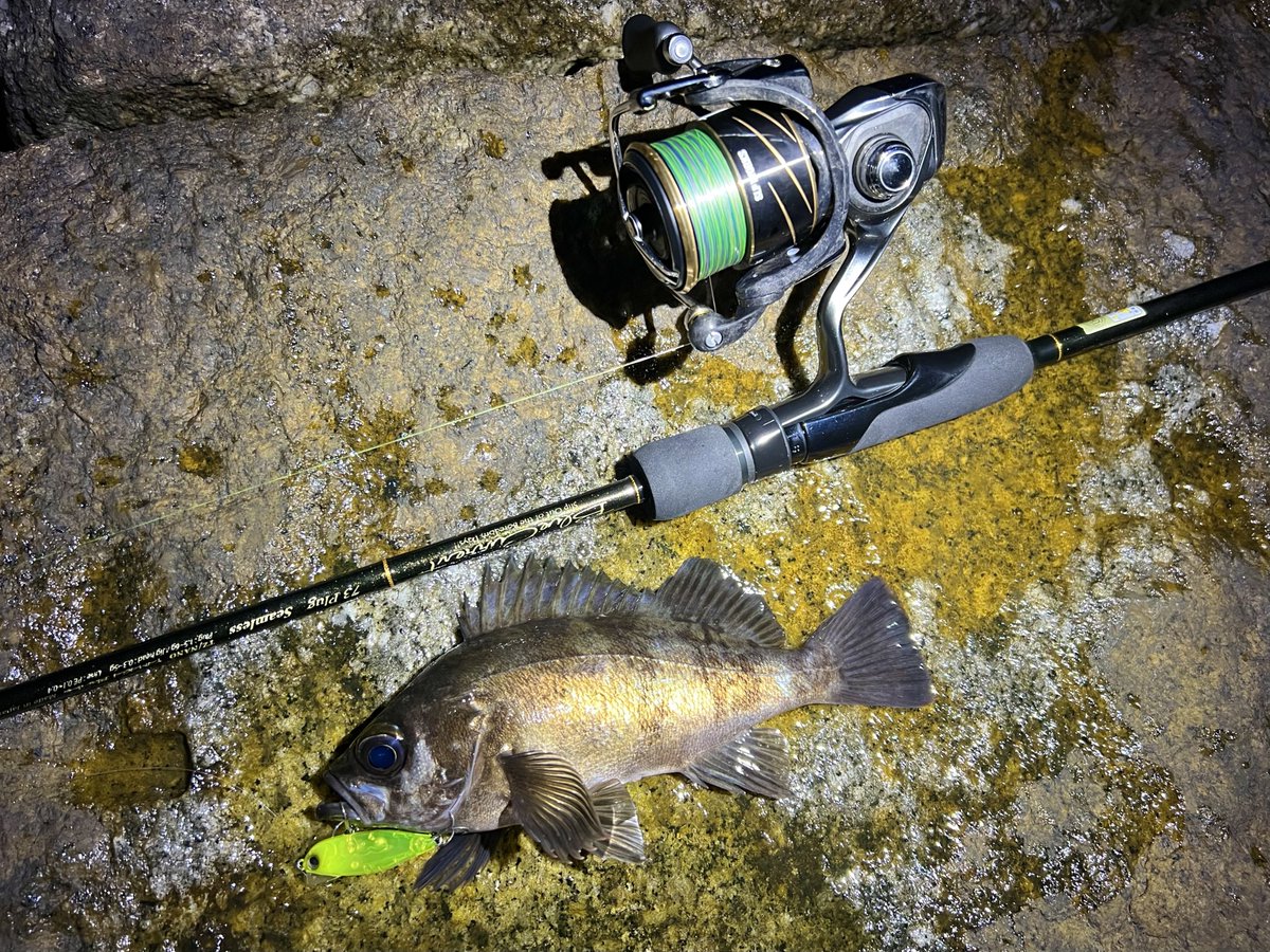 4495BM34's tweet photo. メバルプラッギング🎣 https://t.co/Hft9jX6y2B