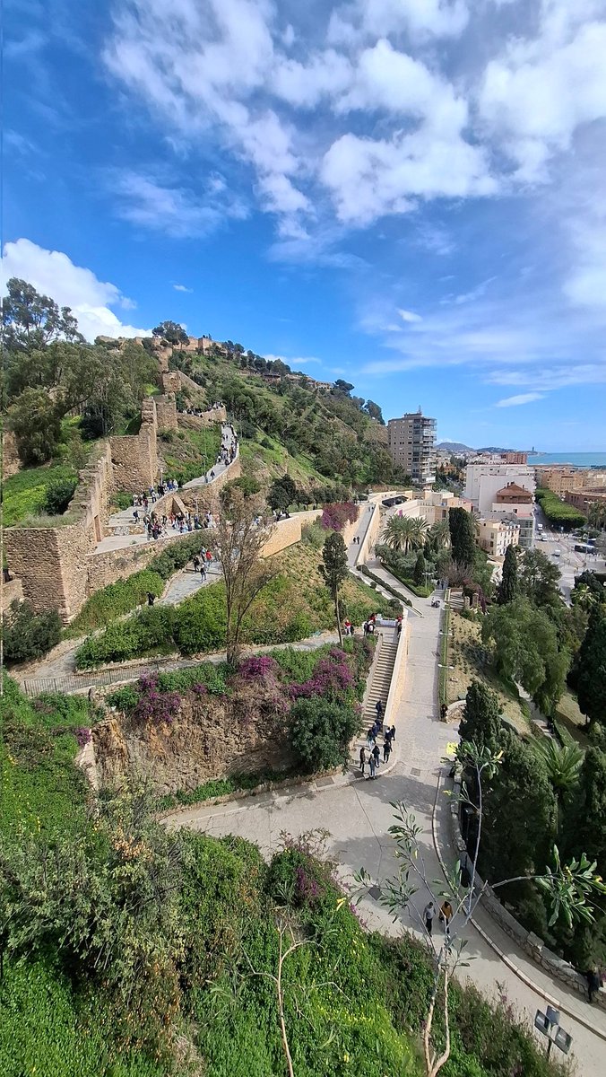 Dr. G 🇱🇹 - 🇺🇦 tweet media