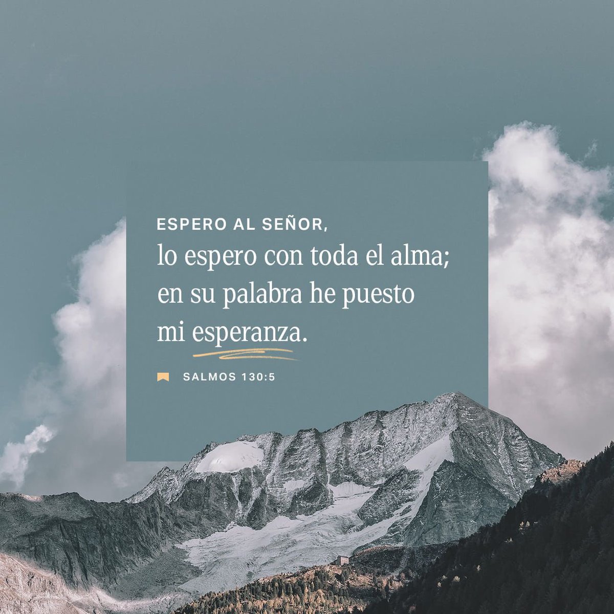 Alejandro López Jarquín tweet media