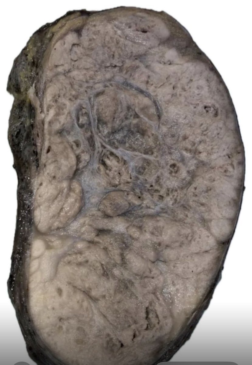 @isaalvaradoc tweet media