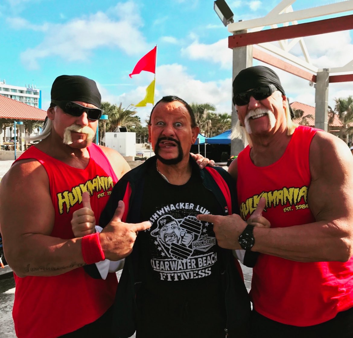 Bushwhacker Luke tweet media