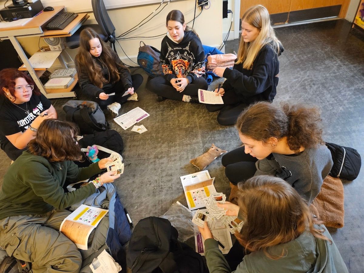 York High School tweet media