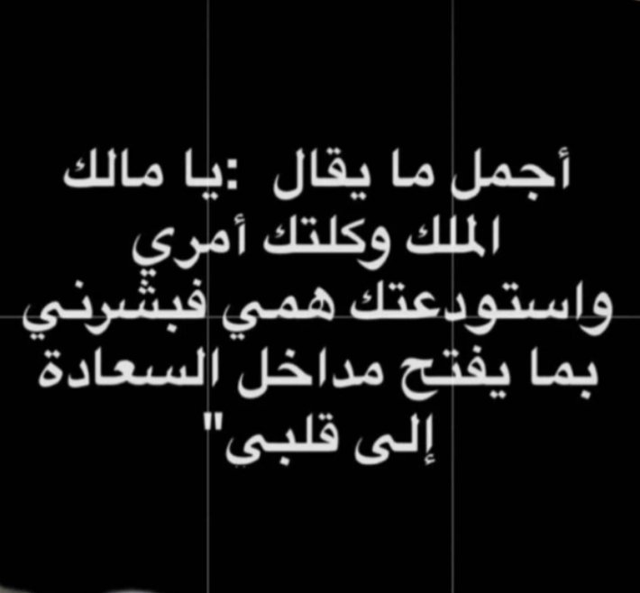 ابوفهد tweet media