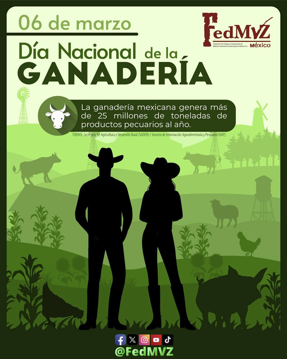 FedMVZ | Federación de Médicos Veterinarios 🇲🇽 tweet media