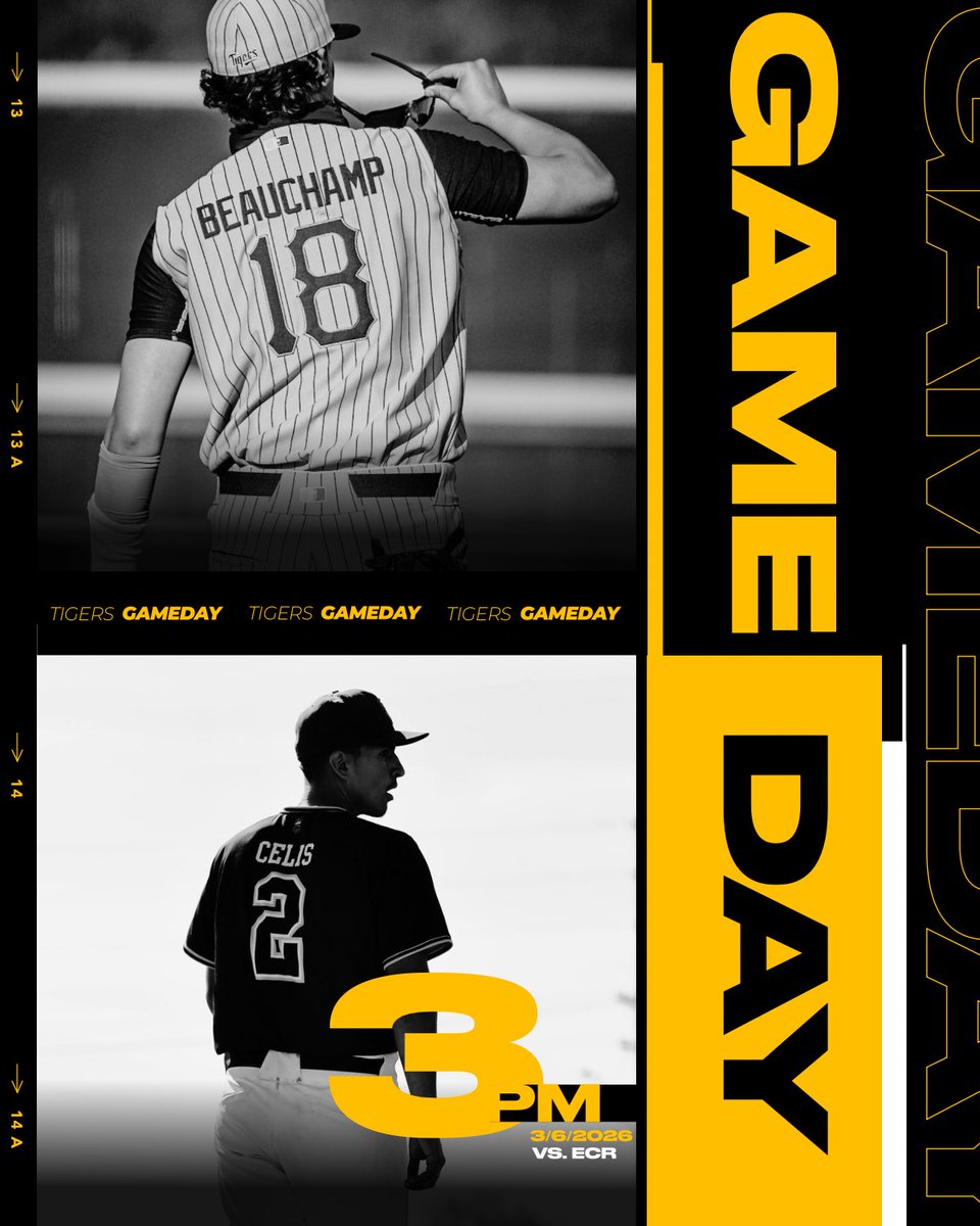 San Fernando Baseball tweet media