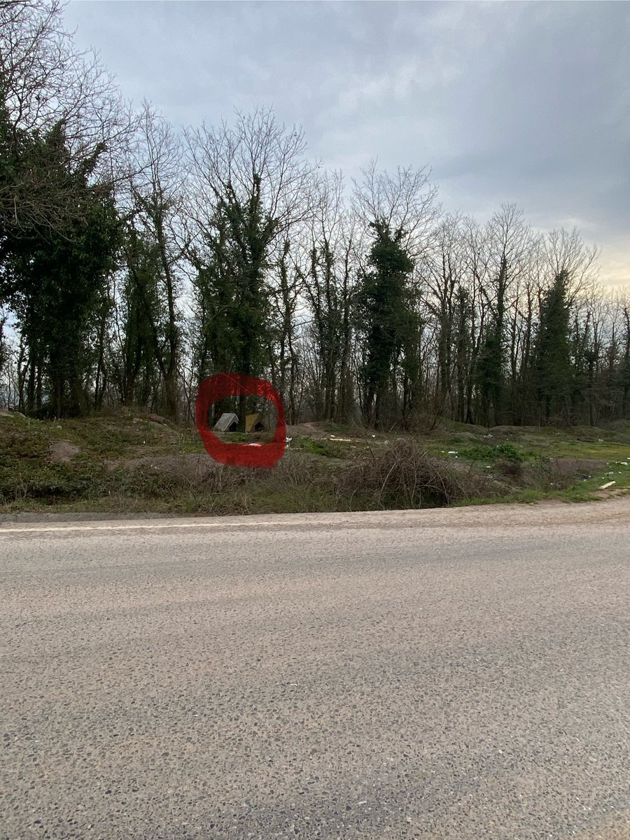 Ozilifb's tweet image. 2 Gündür ne diyorlardı ? #şile de köpek kalmadı değil mi ?
Bugüne ait sadece bir köy ve köy yolu, Beslemecisine denk gelmekte bonus oldu. Bu hayvanların hepsi yaban hayvanları ile temasta, ormanın ve köylerin için de. TOPLANMIYORLARRRR.
@TCTarim @TC_icisleri @TC_istanbul