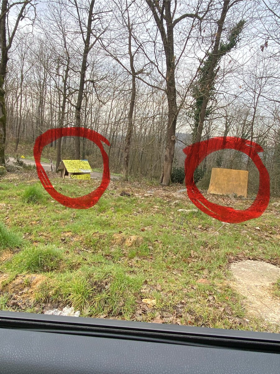 Ozilifb's tweet image. 2 Gündür ne diyorlardı ? #şile de köpek kalmadı değil mi ?
Bugüne ait sadece bir köy ve köy yolu, Beslemecisine denk gelmekte bonus oldu. Bu hayvanların hepsi yaban hayvanları ile temasta, ormanın ve köylerin için de. TOPLANMIYORLARRRR.
@TCTarim @TC_icisleri @TC_istanbul