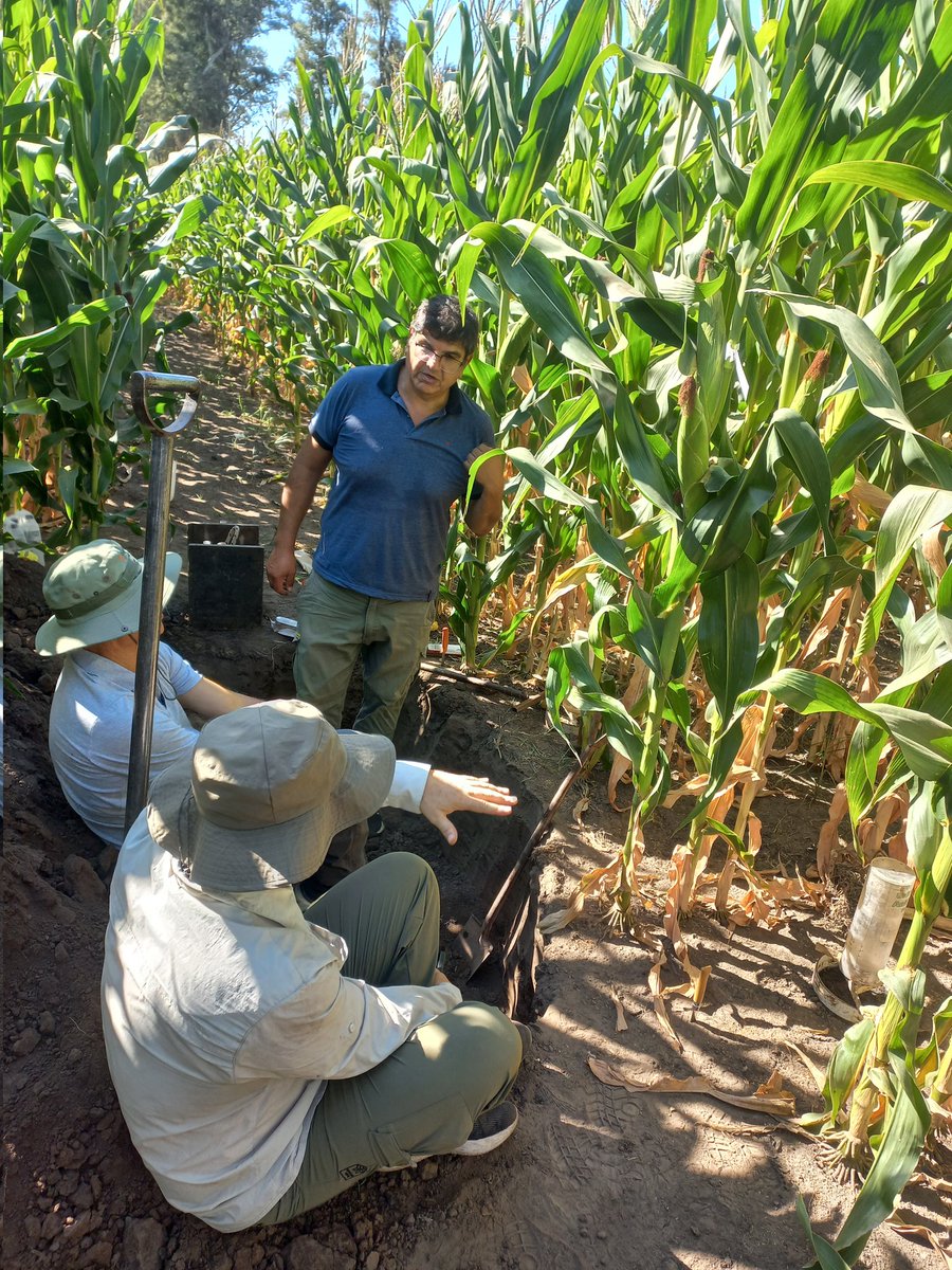 Lucas Scozzina tweet media