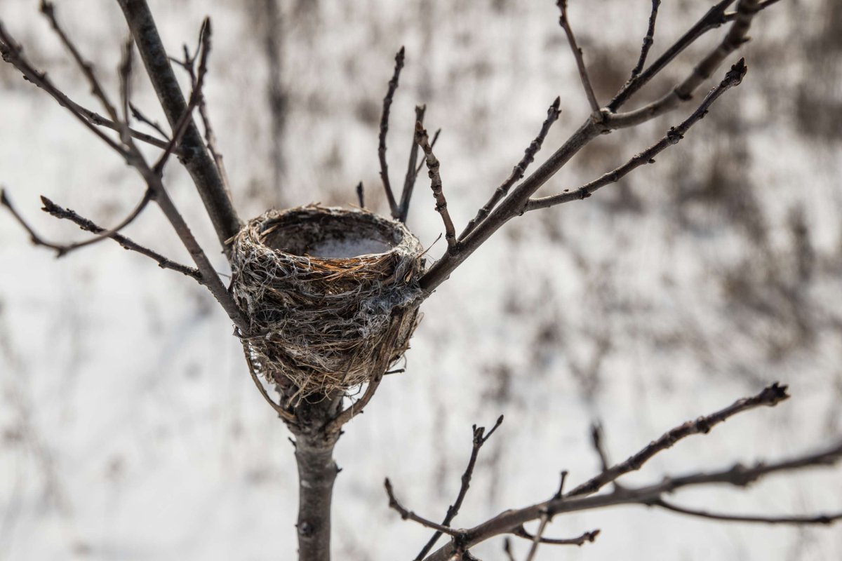 Parc urbain national de la Rouge, Parcs Canada tweet media