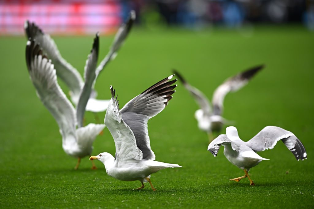 Movistar Plus+ Deportes tweet media