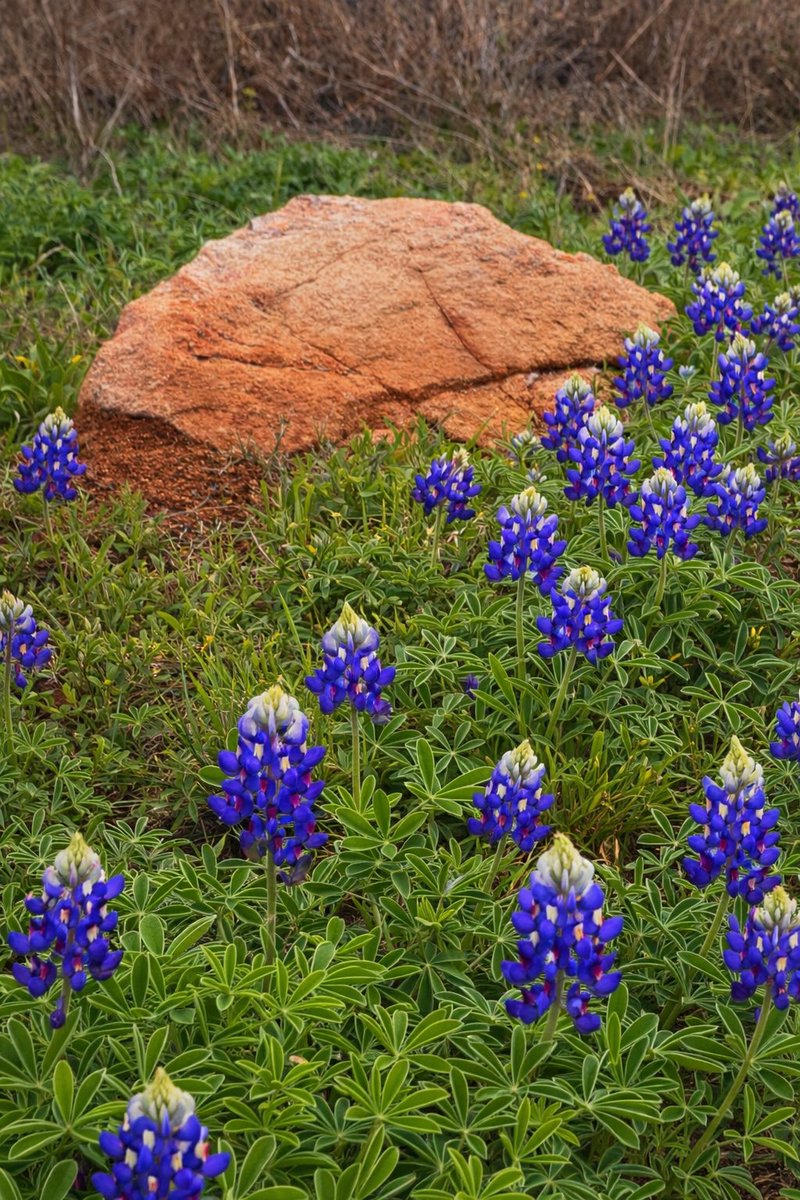 Sandy_landing tweet media